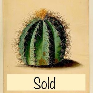 All sold and not for sale items below.